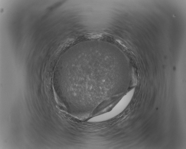 X0000084031441200703022110