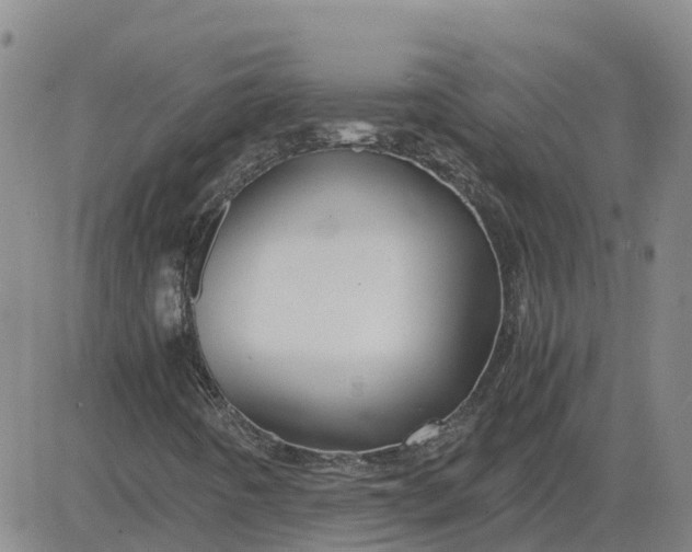 X0000084031442200703022110