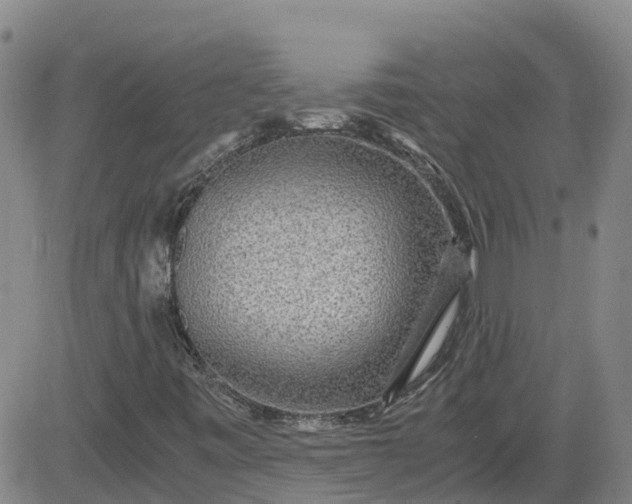 X0000084031443200703022110