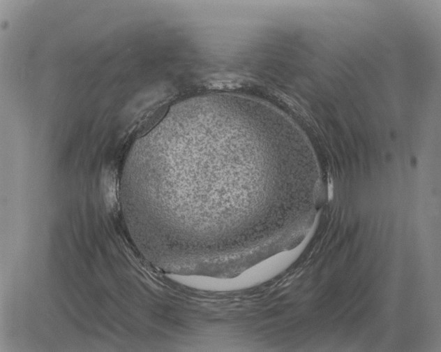 X0000084031444200703022110