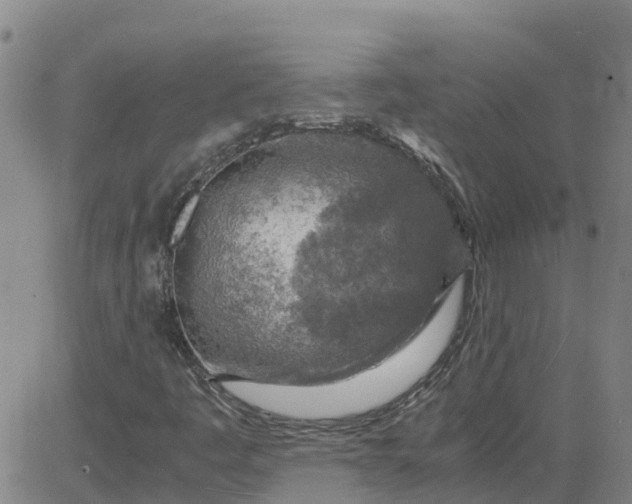 X0000084031445200703022110