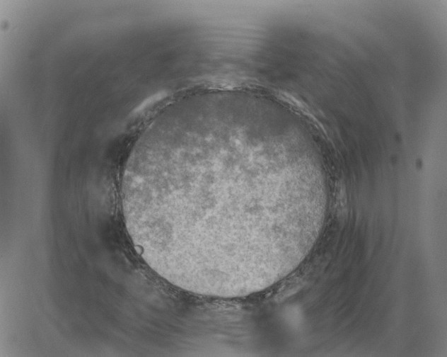 X0000084031446200703022110