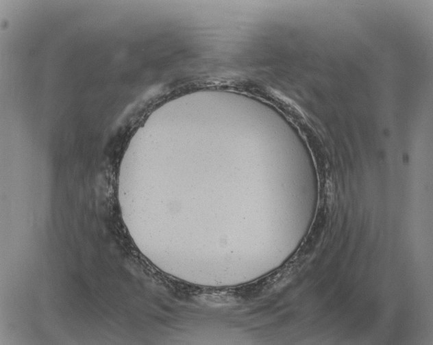 X0000084031447200703022110