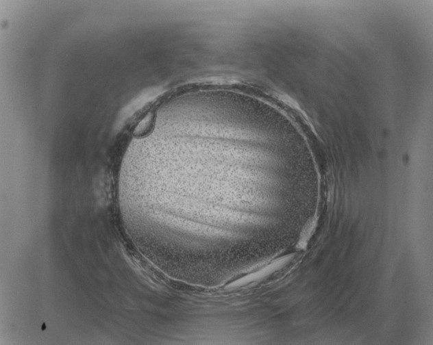 X0000084031448200703022110