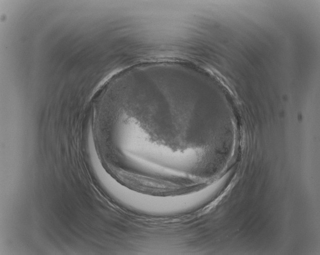 X0000084031449200703022110