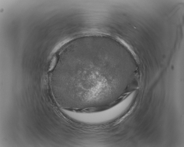 X0000084031453200703022110