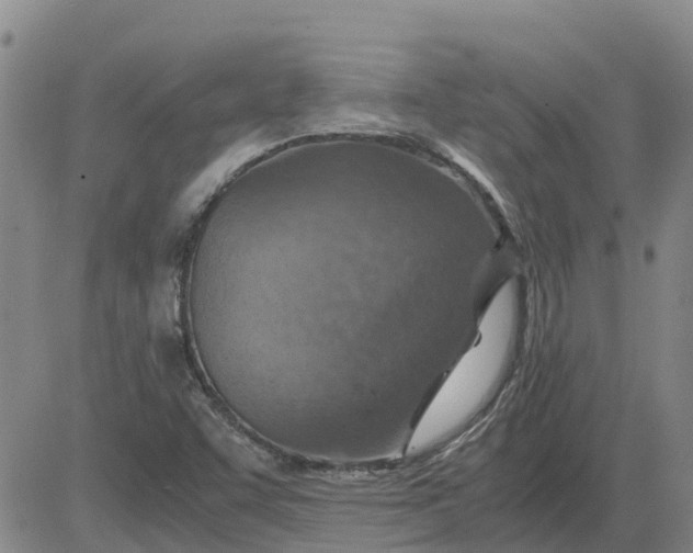 X0000084031455200703022110