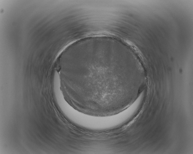 X0000084031457200703022110