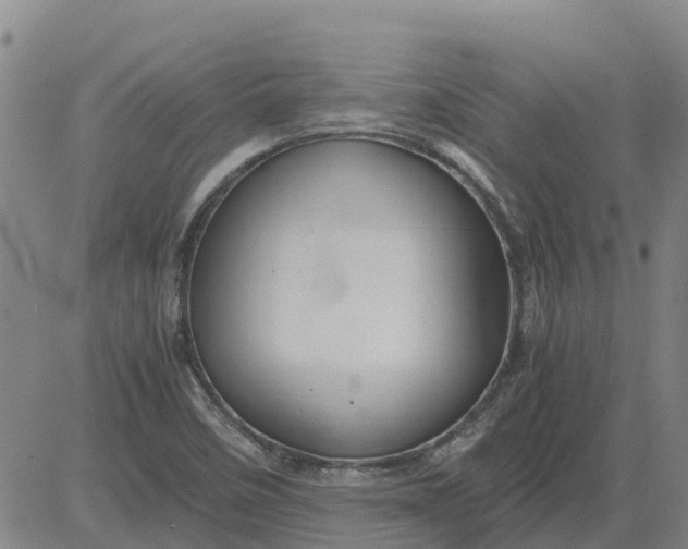 X0000084031458200703022110