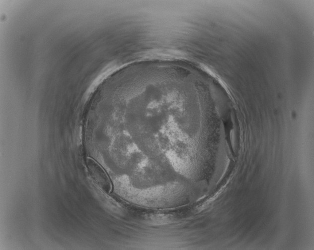 X0000084031459200703022110