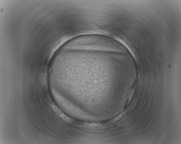 X0000084031460200703022110