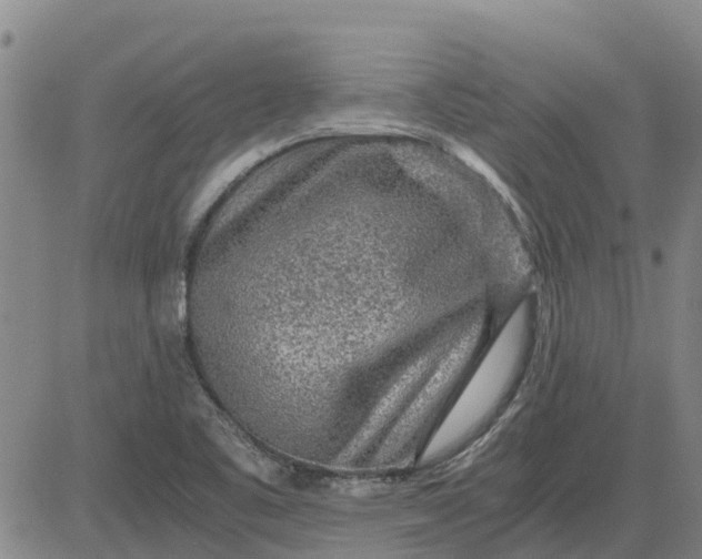 X0000084031461200703022110