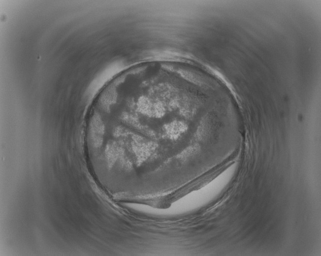 X0000084031463200703022110