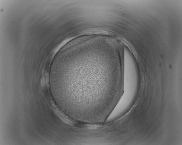 X0000084031465200703022110