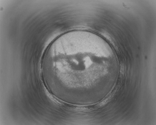 X0000084031466200703022110