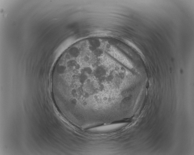 X0000084031467200703022110