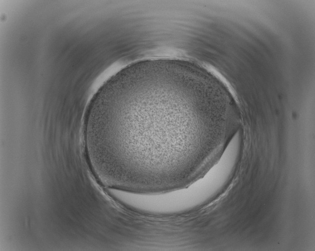 X0000084031469200703022110