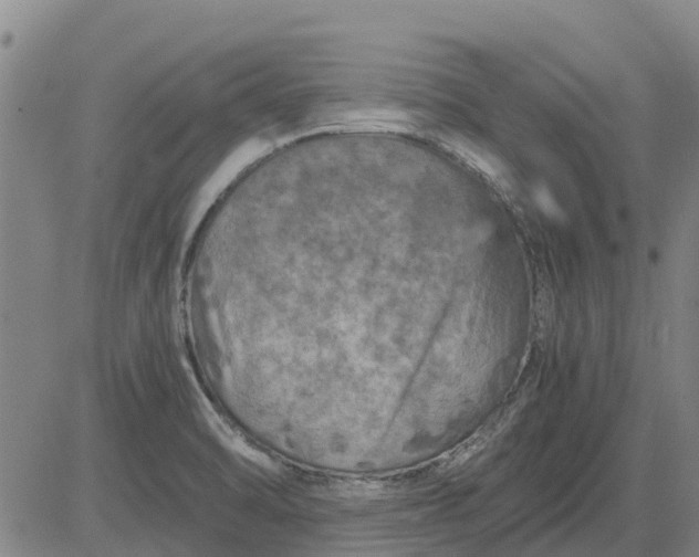 X0000084031470200703022110