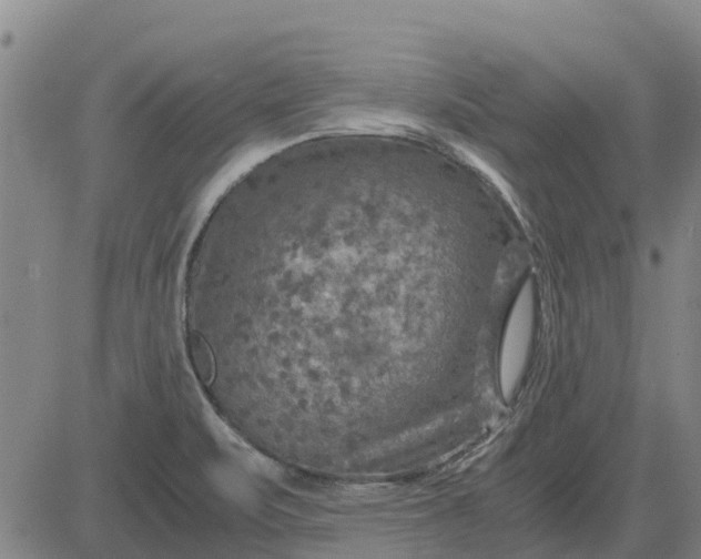 X0000084031471200703022110