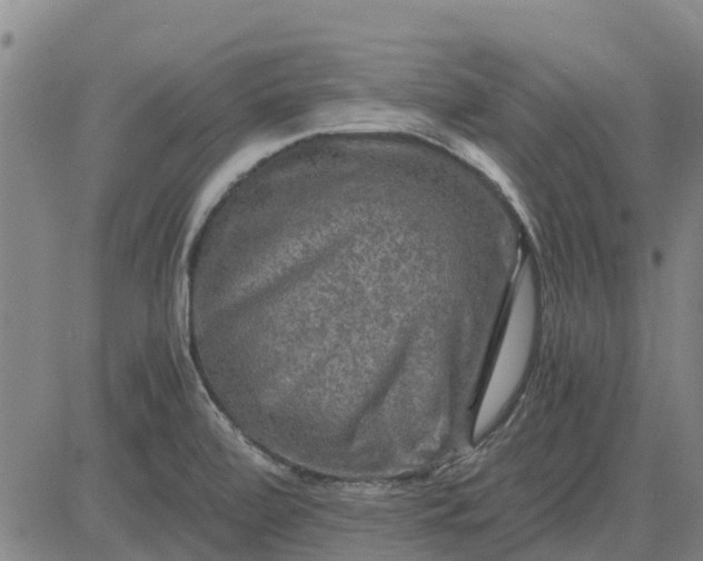 X0000084031472200703022110