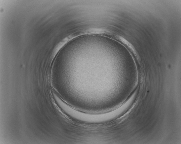 X0000084031473200703022110