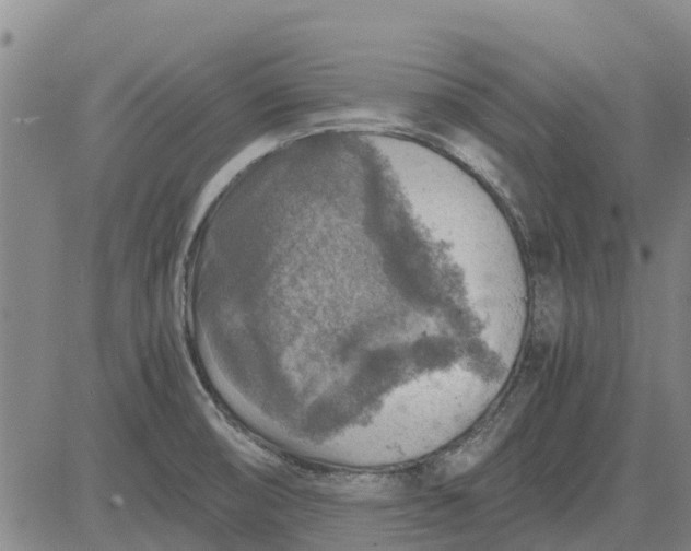 X0000084031474200703022110