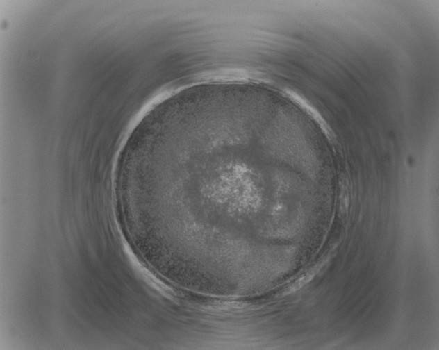 X0000084031475200703022110