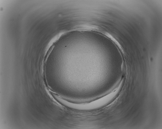 X0000084031477200703022110