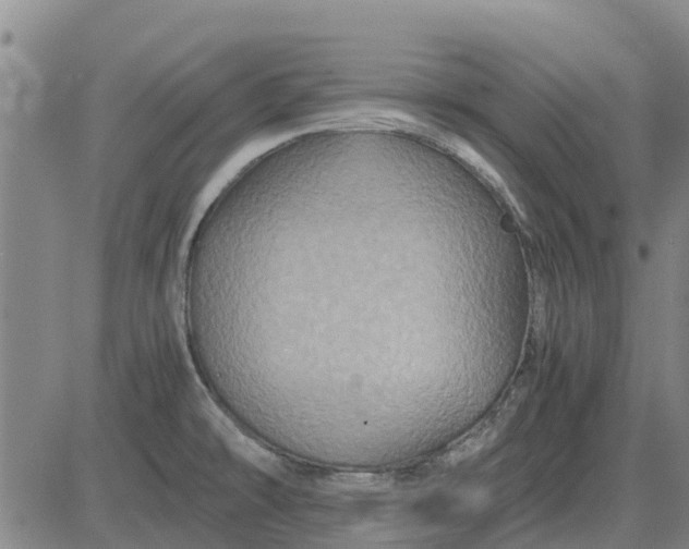 X0000084031478200703022110