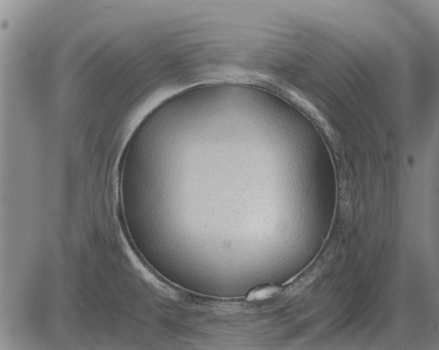 X0000084031479200703022110