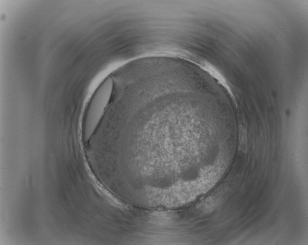 X0000084031480200703022110