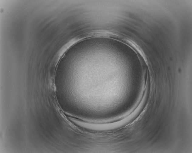 X0000084031481200703022110