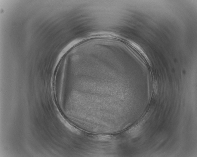 X0000084031482200703022110