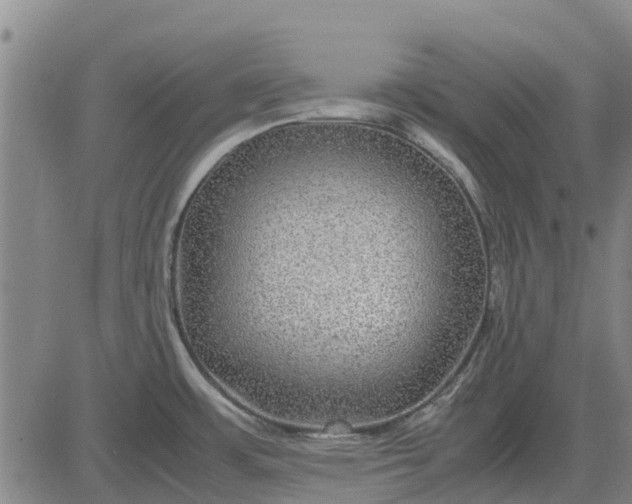 X0000084031483200703022110