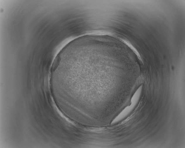 X0000084031484200703022110