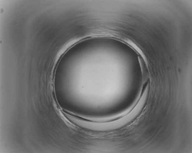 X0000084031485200703022110