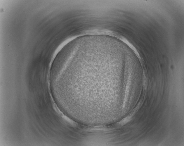 X0000084031486200703022110