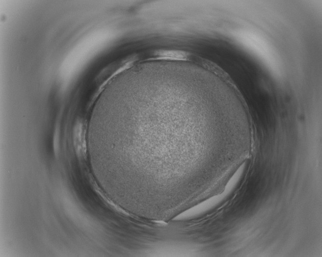 X0000084031487200703022110