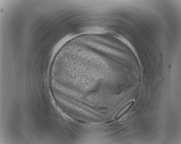 X0000084031488200703022110