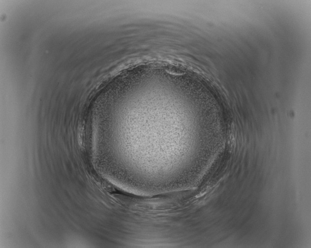 X0000084031490200703022109