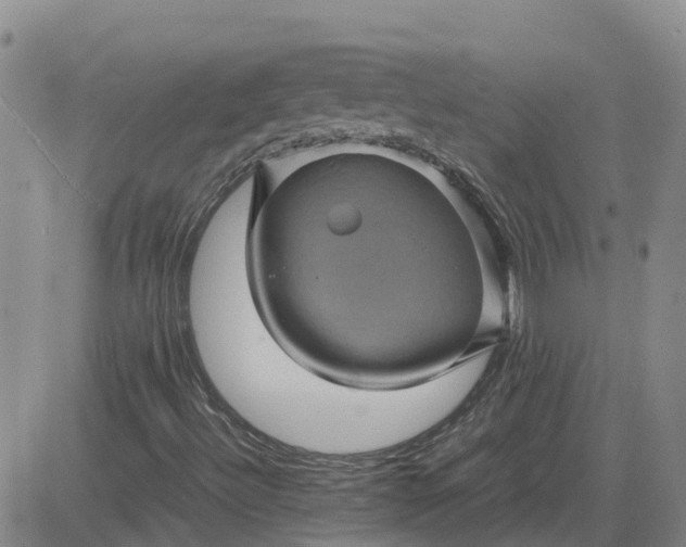 X0000084031492200703022109