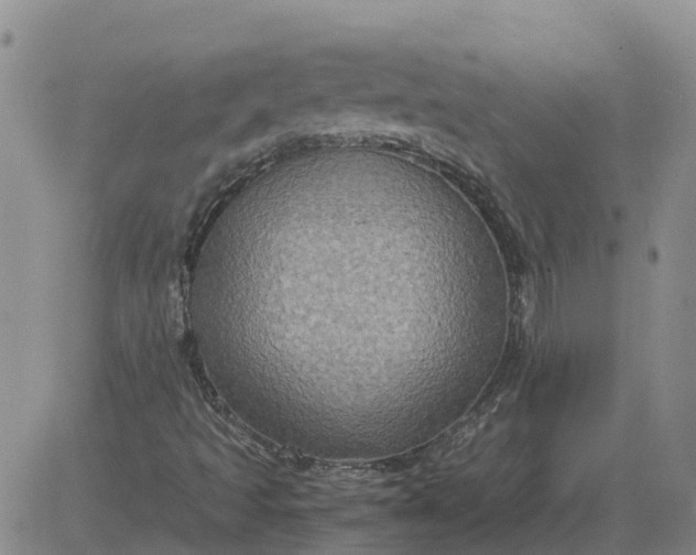 X0000084031493200703022109