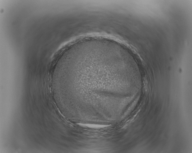 X0000084031494200703022109