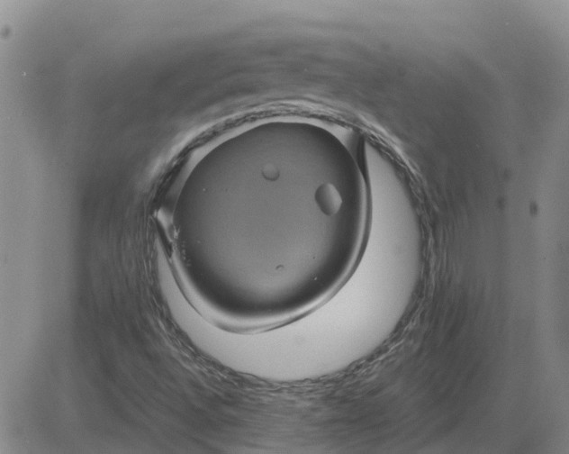 X0000084031496200703022109