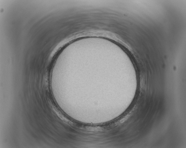 X0000084031498200703022109