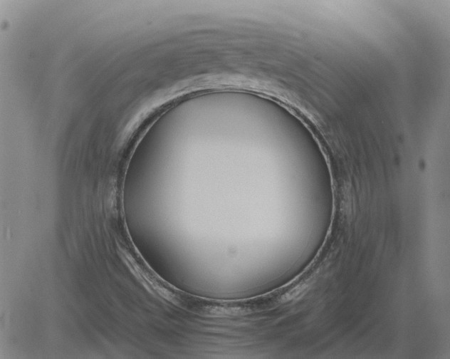 X0000084031499200703022109