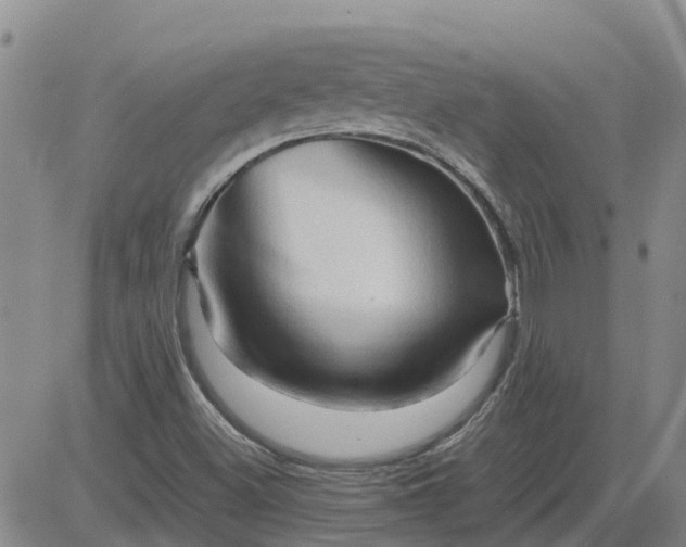 X0000084031500200703022109