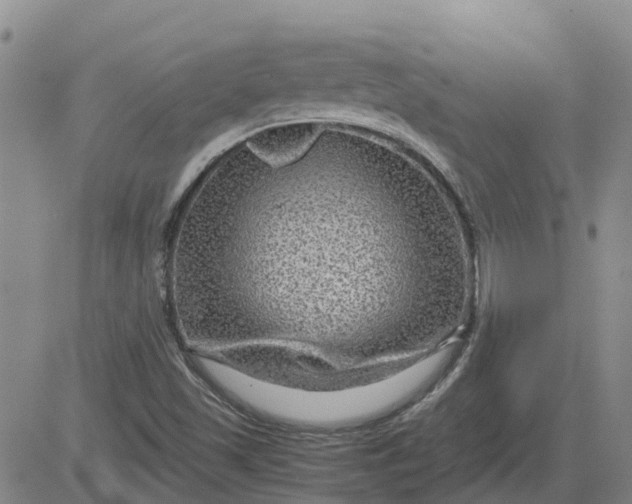 X0000084031501200703022109