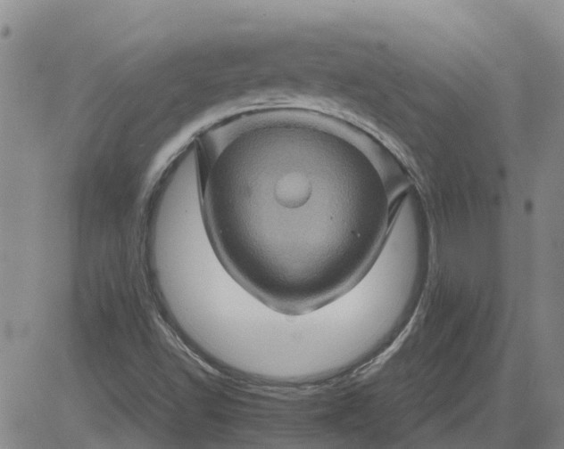 X0000084031502200703022109