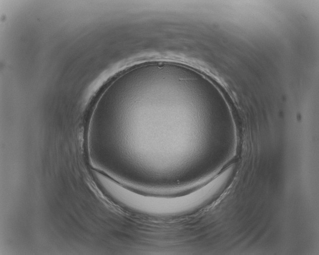 X0000084031503200703022109